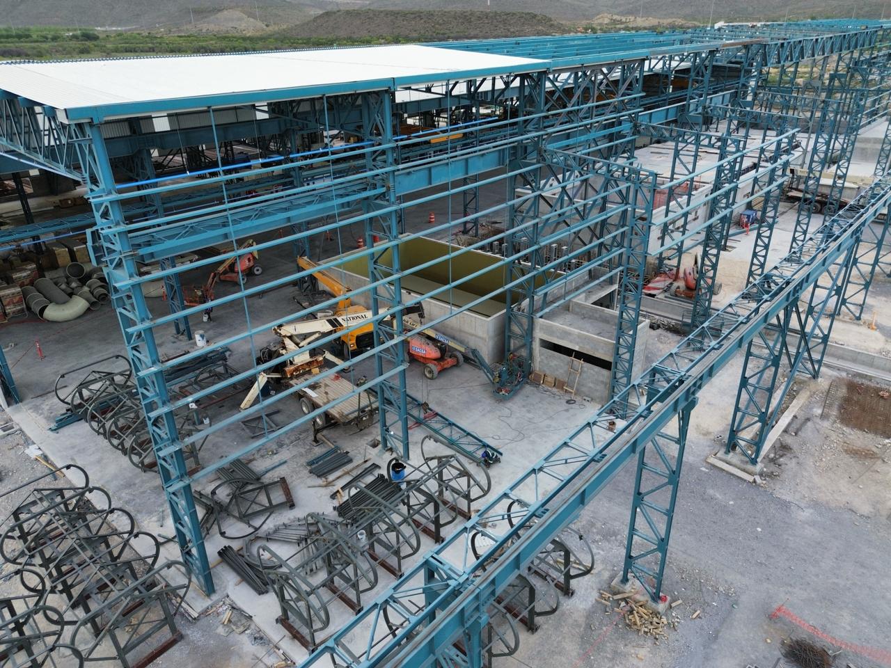 Vista general del crecimiento de la estructura principal.