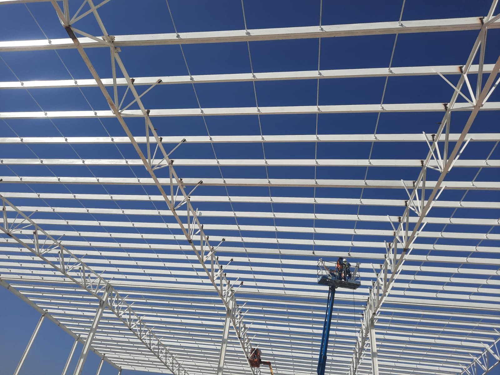 Densidad y repetición del sistema estructural de cubierta.